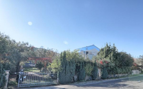 Apartment Rosa